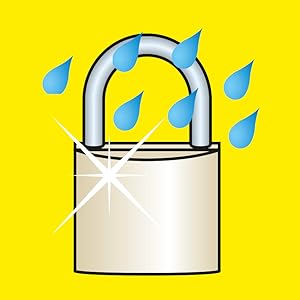 Interno in acciaio inossidabile.