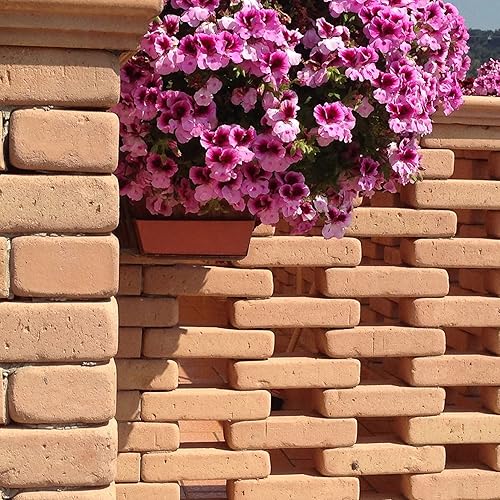 Mattone pieno colore rosso-rosato sfumato 24x12x5,5 cm Archeo Cotto Cusimano - 25 PEZZI - Honorern