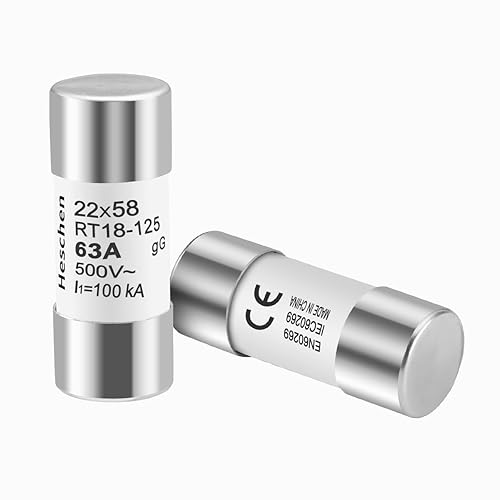 Heschen Fusibili cilindrici in ceramica, RT18-125(RO17), 22 * 58 mm, 63A 500VAC, Tipo gG, confezione da 5 - Honorern
