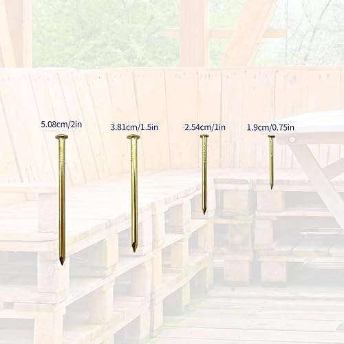 Set di 300 Chiodi per Pareti, Chiodi Testa Rotonda in Legno, Chiodi per Appendere Quadri, Chiodi per Muro, Assortimento di Chiodi per Fissaggio Cornici, Lavorazione del Legno, Specchi con Cornice - Honorern