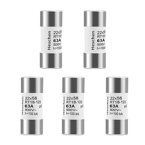 Heschen Fusibili cilindrici in ceramica, RT18-125(RO17), 22 * 58 mm, 63A 500VAC, Tipo gG, confezione da 5 - Honorern