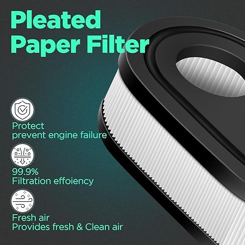 1 Pcs Filtro Aria Tagliaerba - Strumento di Pulizia dell'aria da Giardino Compatibilità con Tosaerba a Spinta,Adatto a Briggs e Stratton 593260 798452 - Honorern