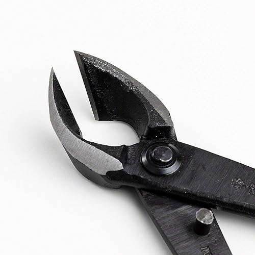 Wazakura Set di Attrezzi per Rami Bonsai, Fatti in Giappone. Tagliatore Concavo (200mm) + Tagliarina di Rami (210mm) Kit da Giardinaggi - Honorern